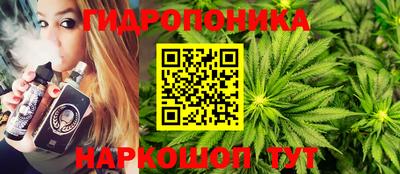гидропоника Гусев